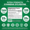 zazzee-organic-green-tea-gymnema-sylvest-2.jpg