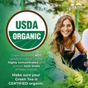 zazzee-organic-green-tea-gymnema-sylvest-6.jpg