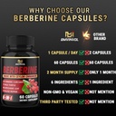 berberine-with-ceylon-cinnamon-turmeric--5.jpg