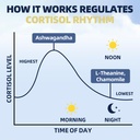 cortisol-supplements-for-women-men-high--5.jpg