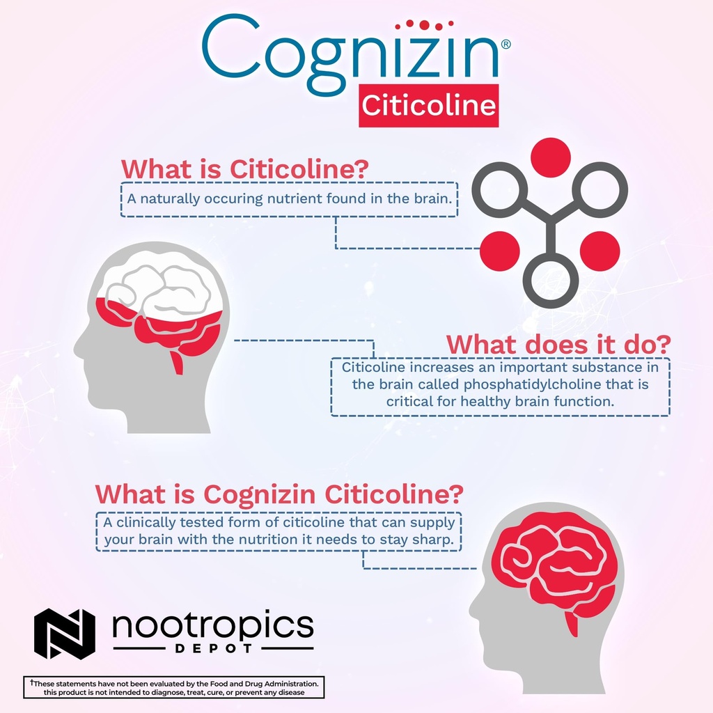 nootropics-depot-cognizin-citicoline-cap-5.jpg
