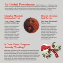 dragon-herbs-goji-berry-schizandra-drops-4.jpg