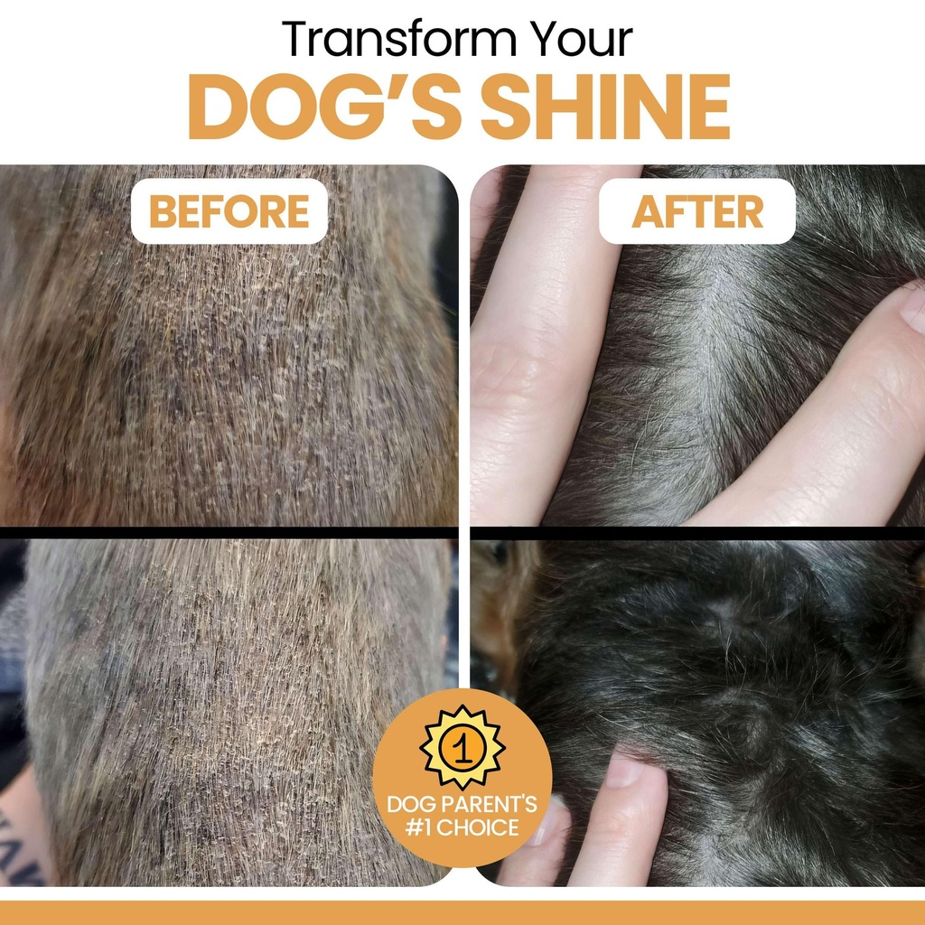 salmon-oil-for-dogs-and-cats-32-oz-omega-4.jpg