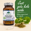 pure-mountain-botanicals-gotu-kola-capsu-2.jpg