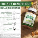neviss-mullein-gummies-for-lungs-organic-5.jpg