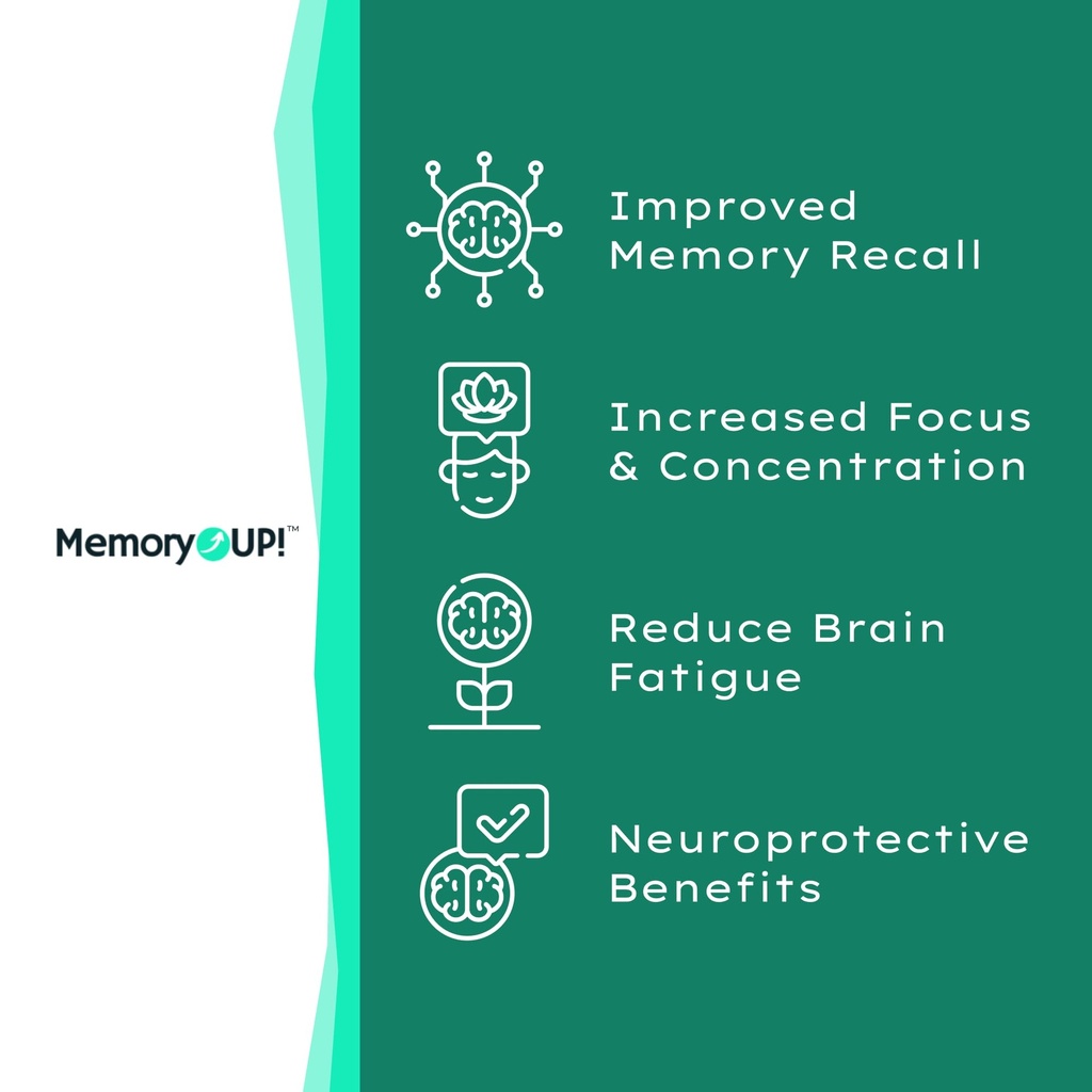 memoryup-sea-scallop-derived-plasmalogen-2.jpg