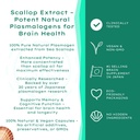 memoryup-sea-scallop-derived-plasmalogen-3.jpg