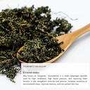 anima-mundi-apothecary-vegan-collagen-po-4.jpg