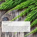 anima-mundi-apothecary-vegan-collagen-po-5.jpg