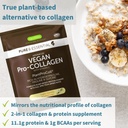 vegan-vanilla-collagen-protein-powder-ca-3.jpg