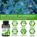 akkermansia-probiotic-supplement-120-cou-5.jpg