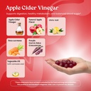 vita-globe-apple-cider-vinegar-gummies-5-3.jpg