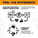 lmnt-sparkling-electrolyte-drink-orange--3.jpg