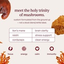 forest-caps-mushroom-gummies-lion-s-mane-5.jpg