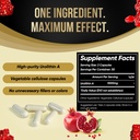 urolithin-a-capsules-500mg-1000mg-per-se-2.jpg