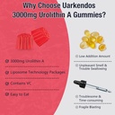 2-pack-3000mg-liposome-urolitin-a-gummie-5.jpg