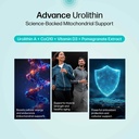 urolithin-a-supplement-1000mg-urolithin--6.jpg