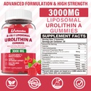 1-pack-3000mg-liposome-urolitin-a-gummie-2.jpg