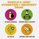 bala-total-body-wellness-drink-mix-hydra-3.jpg