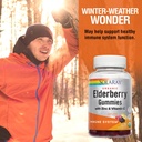 solaray-organic-elderberry-gummies-wzinc-4.jpg