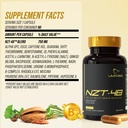 nzt-48-brain-booster-nootropic-brain-sup-5.jpg