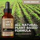 herbal-goodness-lions-mane-mushroom-supp-4.jpg