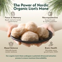 lion-s-mane-organic-mushroom-tincture-ul-3.jpg