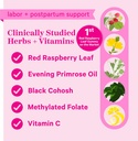 pink-stork-red-raspberry-leaf-gummies-th-2.jpg