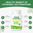 550mg-liposomal-sulforaphane-from-brocco-4.jpg