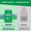 white-mulberry-leaf-extract-500mg-source-3.jpg