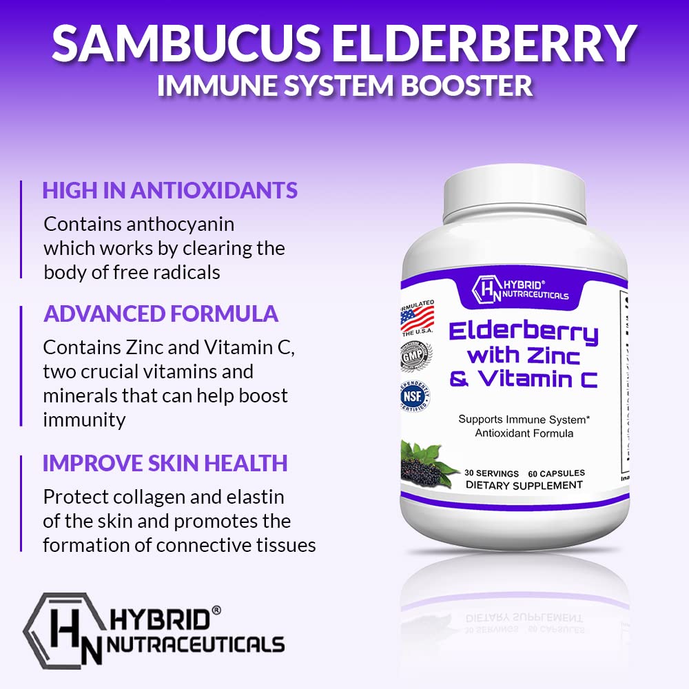 hybrid-nutraceuticals-black-elderberry-c-2.jpg