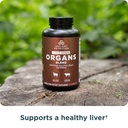 ancient-nutrition-organ-supplements-once-4.jpg