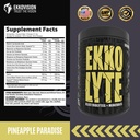 ekkovision-ekkolyte-electrolytes-and-min-2.jpg