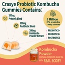 probiotic-kombucha-gummies-sugar-free-pr-5.jpg