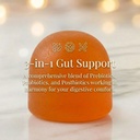 jevawell-probiotic-kombucha-gummies-preb-6.jpg