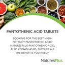 naturesplus-pantothenic-acid-sustained-r-3.jpg