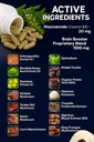 vitamisan-herbal-mushroom-supplement-for-3.jpg