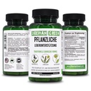 siberian-green-herbal-liver-detox-with-m-2.jpg