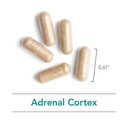nutricology-adrenal-support-supplement-f-5.jpg