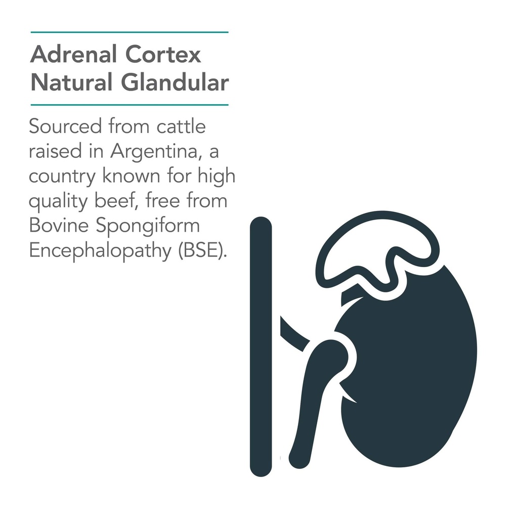 nutricology-adrenal-support-supplement-f-4.jpg
