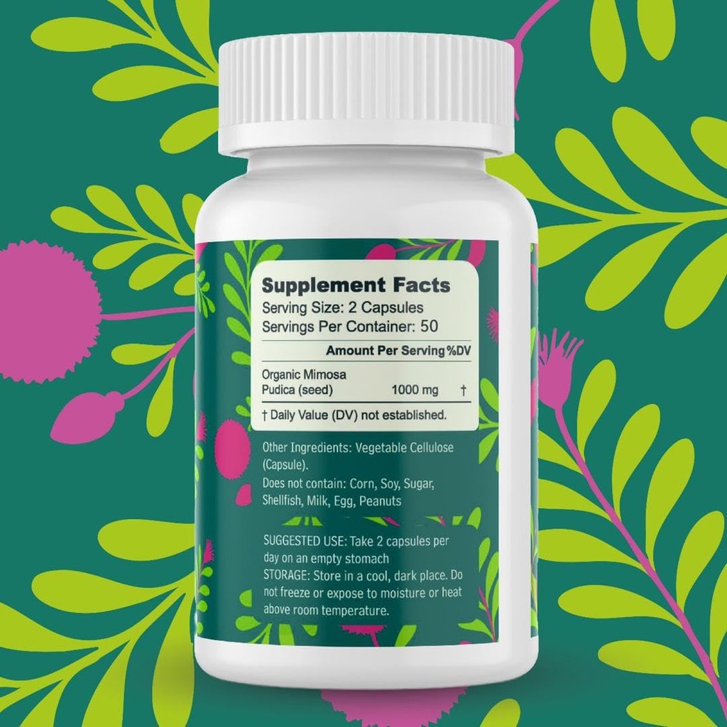 mimosa-pudica-seed-capsules-1000mg-natur-2.jpg