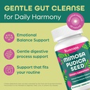 mimosa-pudica-seed-capsules-1000mg-natur-4.jpg