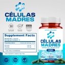 stem-cell-supplements-500mg-180-cap-natu-6.jpg