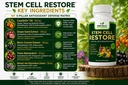green-valley-naturals-stem-cell-restore--2.jpg