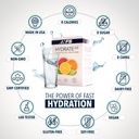 hydrate-2-0-electrolytes-hydration-powde-5.jpg
