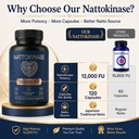 nattokinase-12000-fu-per-serving-nattoki-2.jpg