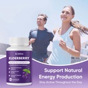 elvera-elderberry-gut-support-complex-or-6.jpg
