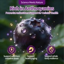 organic-black-elderberry-capsules-3-in-1-2.jpg