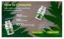 papaya-leaf-extract-capsules-tablets-300-5.jpg