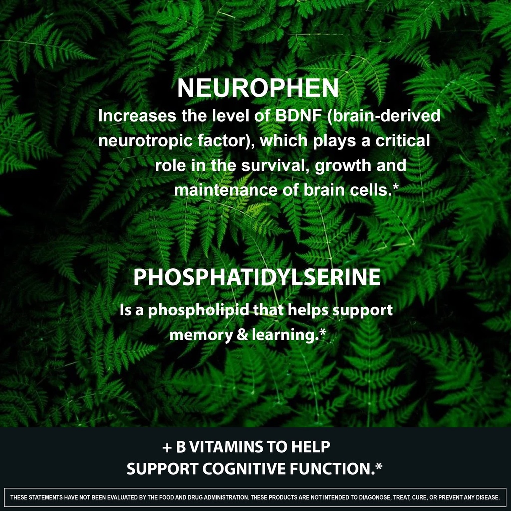 hybrid-nutraceuticals-neurophen-nootropi-6.jpg